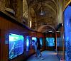     . 

:	aquarium_museum-_alexandria_-4592244000-.jpg‏ 
:	600 
:	31.7  
:	33203