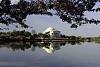     . 

:	Jefferson-Memorial.jpg‏ 
:	601 
:	41.4  
:	33350